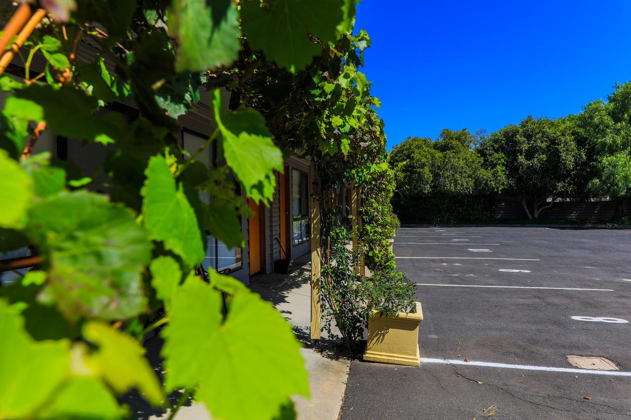 Country Roads Motor Inn Naracoorte Dış mekan fotoğraf